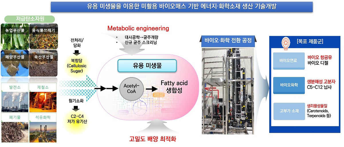 유용 미생물을 이용한 미활용 바이오메스 기반 에너지,화학소재 생산 기술개발