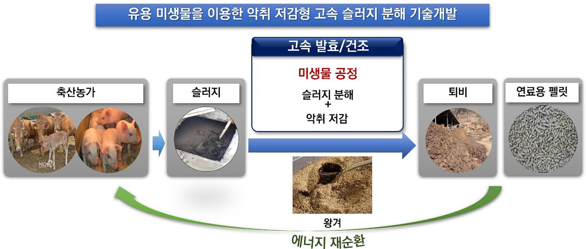 유용 미생물을 이용한 악취 저감형 고속 슬러지 분해 기술개발