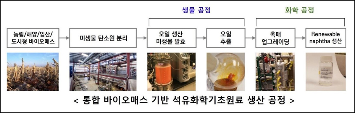 통합 바이오매스 기반 석유화학기초원료 생산 공정