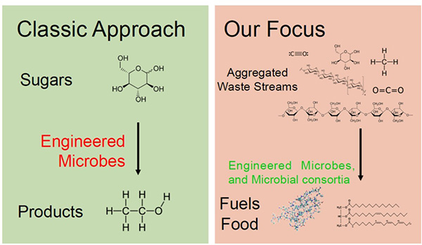 classic approach and our focus